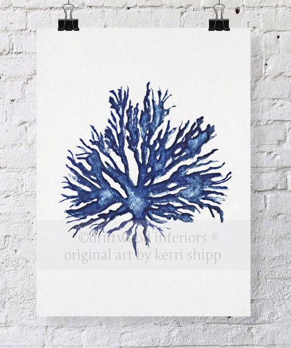 570x683 Sea Life Art Prints Best Of Etsy Antique Wall Art Coral Art Red - Coral Watercolor Print