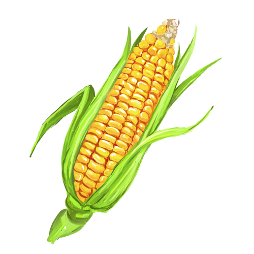 500x500 14k White Gold Pave Corn Pendant Delicacies - Corn Watercolor