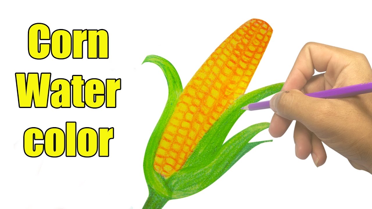 1280x720 How To Draw A Corn Watercolor Easy - Corn Watercolor