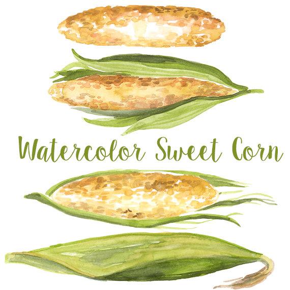 570x570 Watercolor Sweet Corn Corn Clip Art Corn Clipart Iowa Etsy - Corn Watercolor