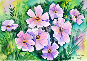 300x210 Cosmos Watercolor Original Flower Painting Nature Grass Garden - Cosmos Watercolor