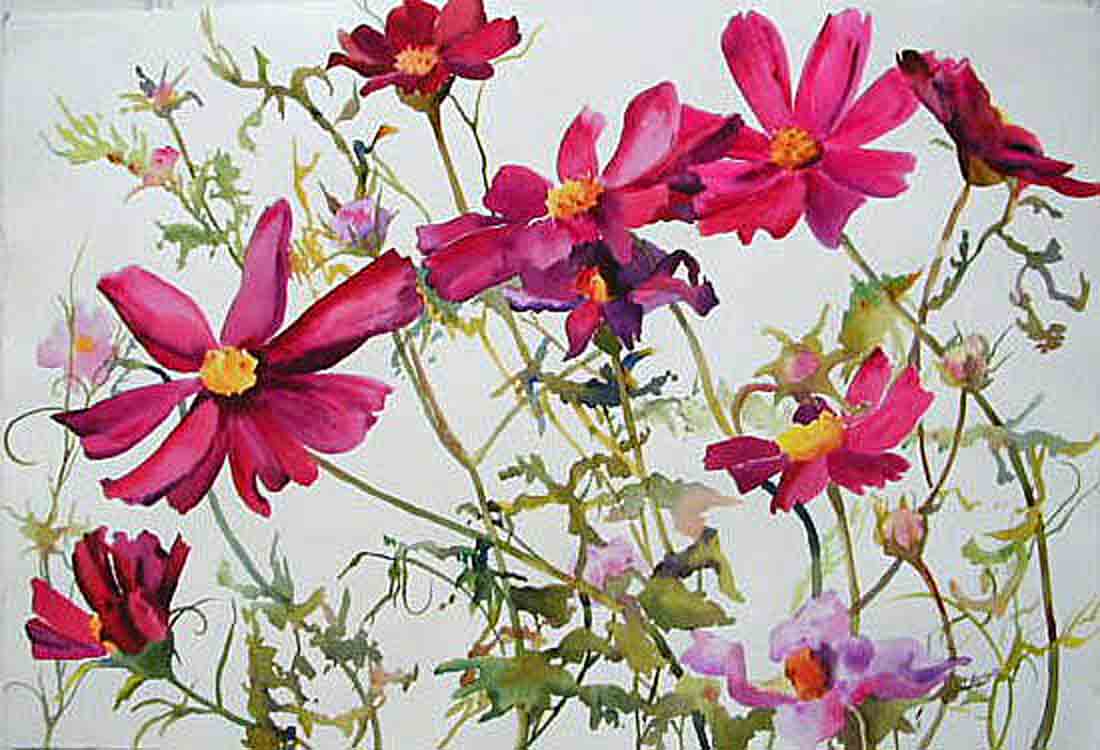 1100x750 Kaysmithbrushworks Cosmos Chorus - Cosmos Watercolor