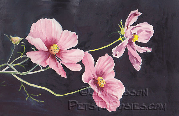 600x390 Pets To Posies Watercolor And Gouache Floral - Cosmos Watercolor