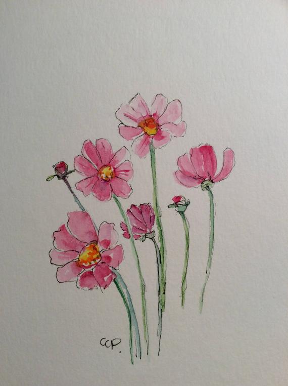 570x763 Pink Cosmos Watercolor Card Hand Painted Watercolor Card Etsy - Cosmos Watercolor