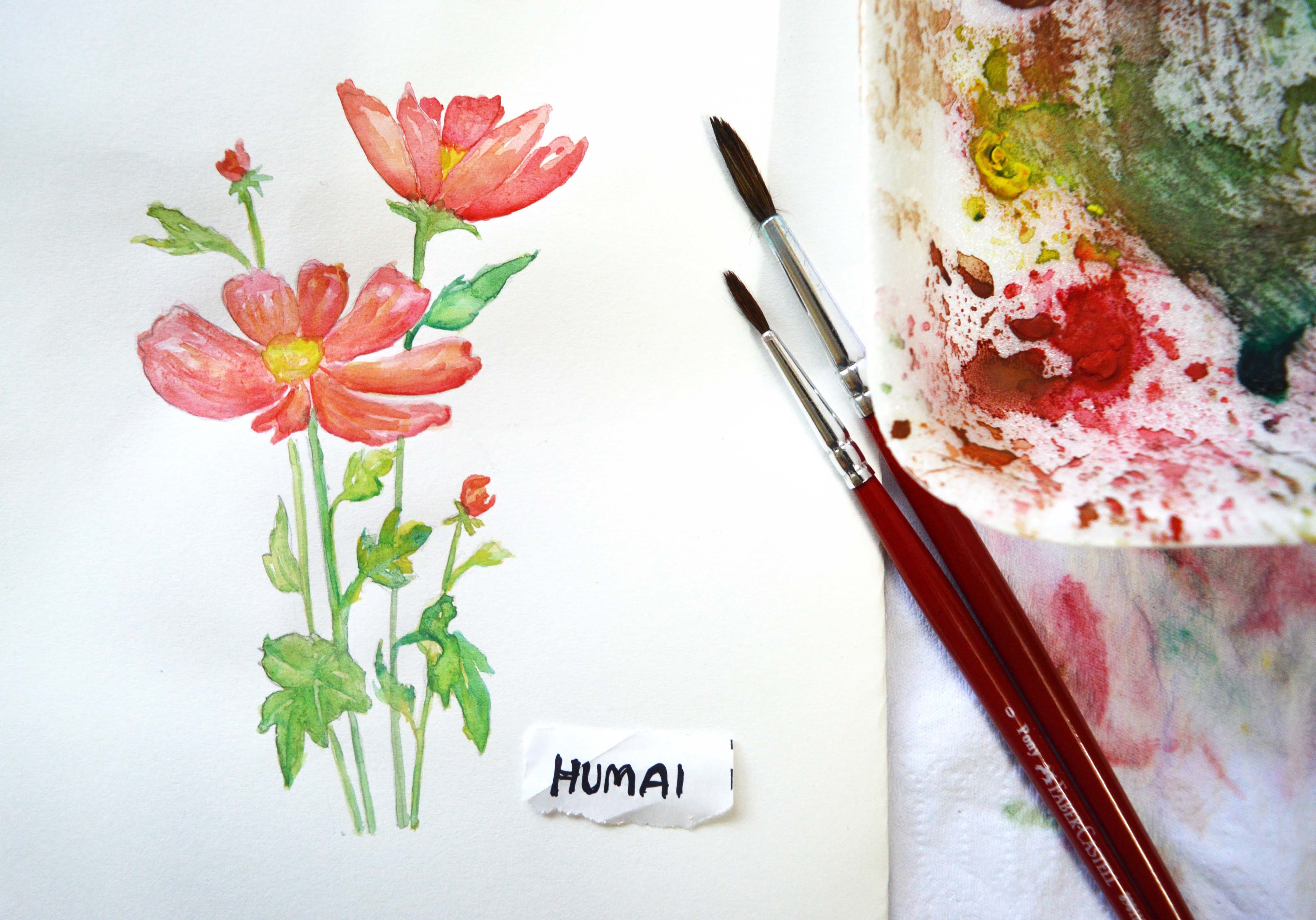 4096x2863 Red Cosmos Watercolor Timelapse - Cosmos Watercolor