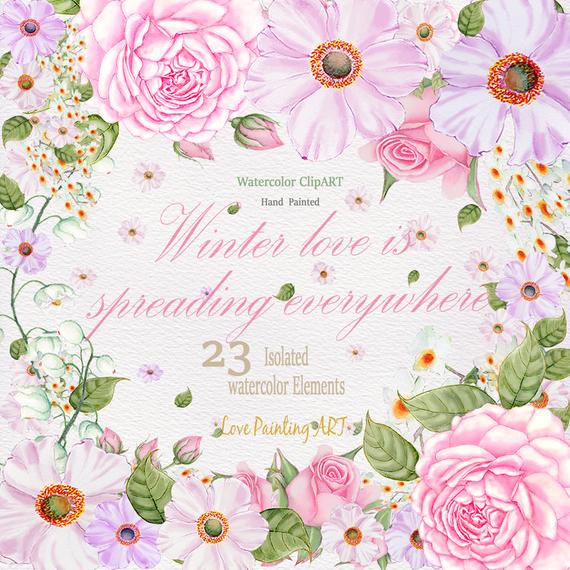 570x570 Roses Amp Cosmos Watercolor Flowers Clipart.hand Painted Etsy - Cosmos Watercolor