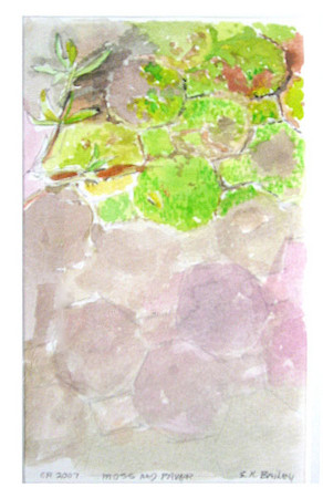 292x450 Costa Rica Watercolor Sketches Florida Caribbean Art - Costa Rica Watercolor