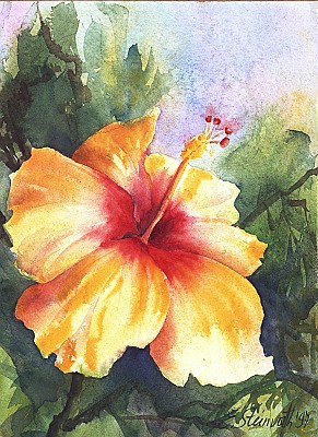 291x400 Elizabeth Steinvorth - Costa Rica Watercolor