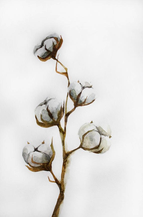 570x863 Original Watercolor Cotton Cotton Watercolor Home Decor Etsy - Cotton Watercolor