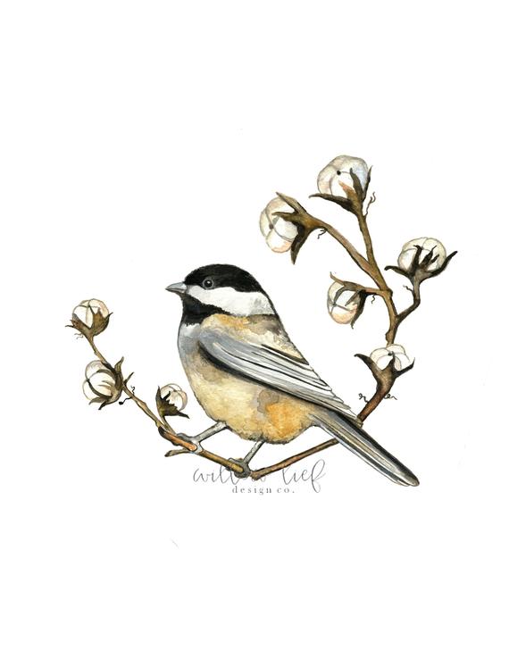 570x738 Cotton Chick Bird Art Bird Print Wall Art Watercolor Etsy - Cotton Watercolor