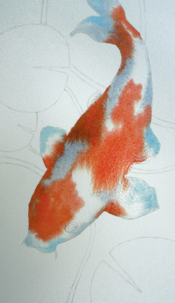 249x431 How To Paint Koi Carp In Watercolour - Coy Fish Watercolor