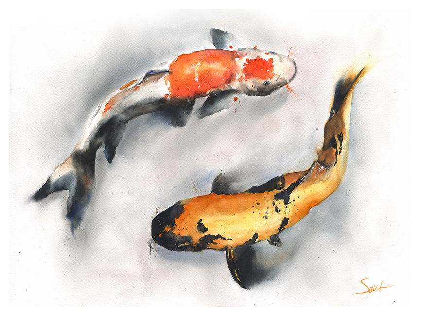 866x650 Koi Original Watercolor Painting Watercolor Animal Paintings - Coy Fish Watercolor