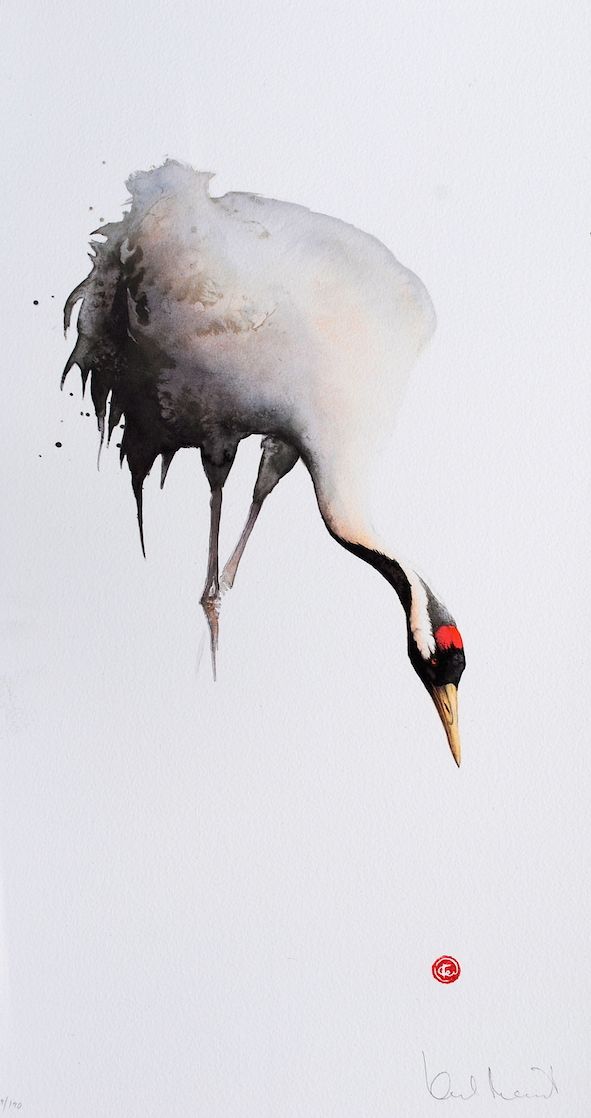 591x1118 I Think This Is A Manchurian Crane - Crane Watercolor