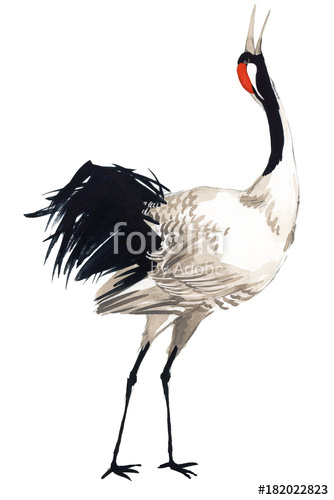 334x500 Japanese Crane Bird, Watercolor Illustration. Stock Photo And - Crane Watercolor