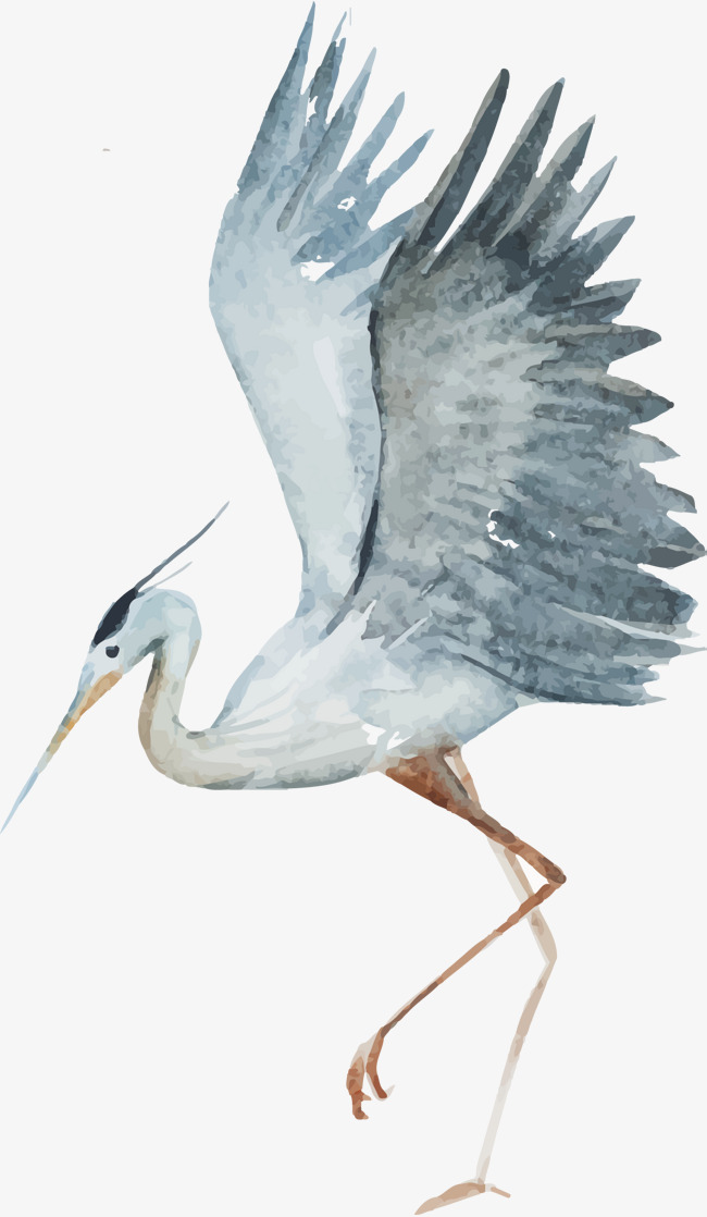 650x1118 Watercolor Red - Crane Watercolor