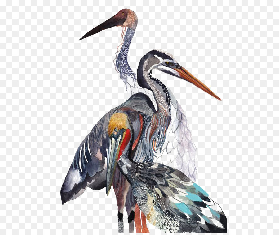 900x760 Watercolor Painting Art Drawing Bird - Crane Watercolor