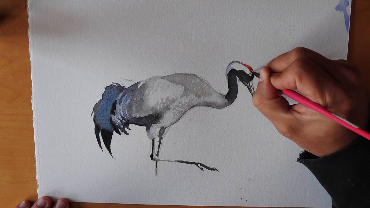 1280x720 Crane Watercolour - Crane Watercolor