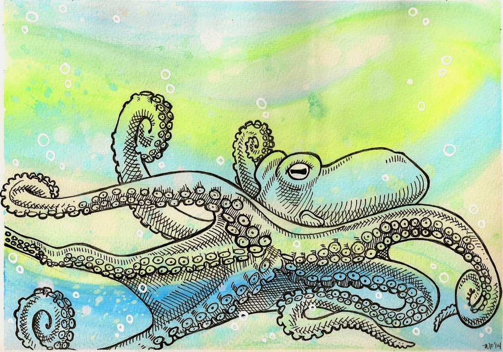 1024x717 Octo Watercolor 4 By Crazy Fae - Crazy Watercolor