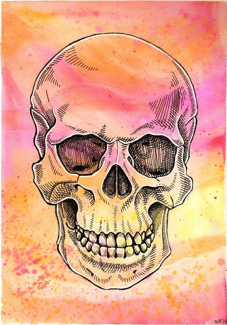 748x1069 Skull Watercolor By Crazy Fae - Crazy Watercolor