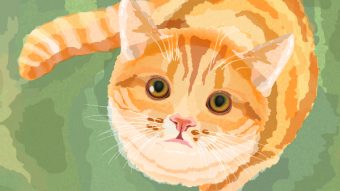 340x191 Create A Watercolor Cat In Adobe Illustrator - Create Watercolor Effect In Illustrator