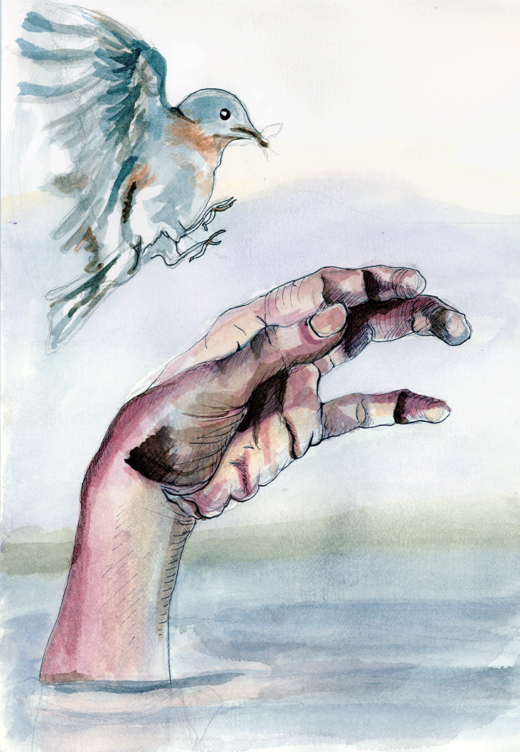 731x1057 Watercolor Erin Pearce - Creepy Watercolor