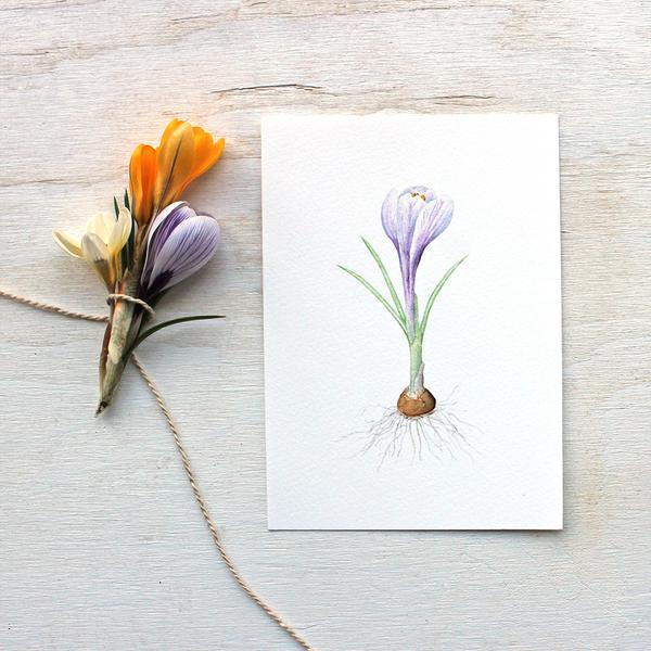600x600 Crocus Watercolor Print - Crocus Watercolor