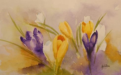 491x303 Gretchen Bjornson Art Crocus Painting - Crocus Watercolor