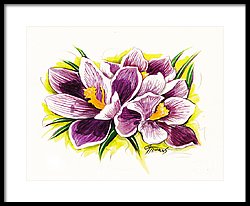 250x206 Purple Crocus Watercolor Painting By Gg Burns - Crocus Watercolor