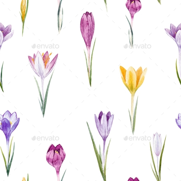 590x590 Watercolor Crocus Floral Pattern By Zenina Graphicriver - Crocus Watercolor