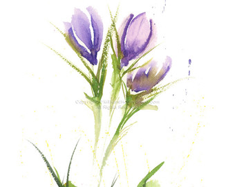 340x270 Watercolor Crocus Etsy - Crocus Watercolor