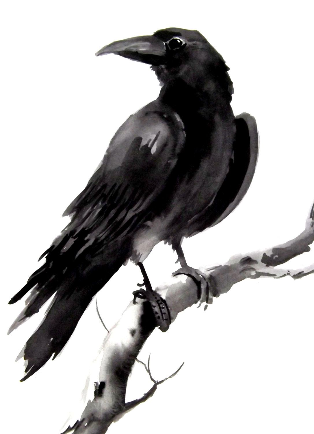 1087x1500 Crow, Raven Original Watercolor Painting 9 X 12 Crows - Crow Watercolor