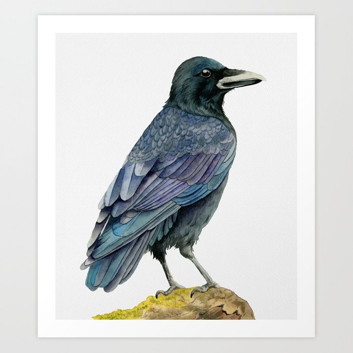 700x700 Crow Watercolor Painting Art Print By Namibear Society6 - Crow Watercolor