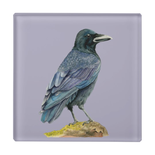540x540 Crow Watercolor Painting Glass Coaster - Crow Watercolor