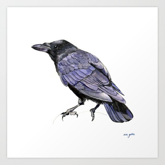 550x550 Crow Watercolor And Ink Illustration Art Print By - Crow Watercolor