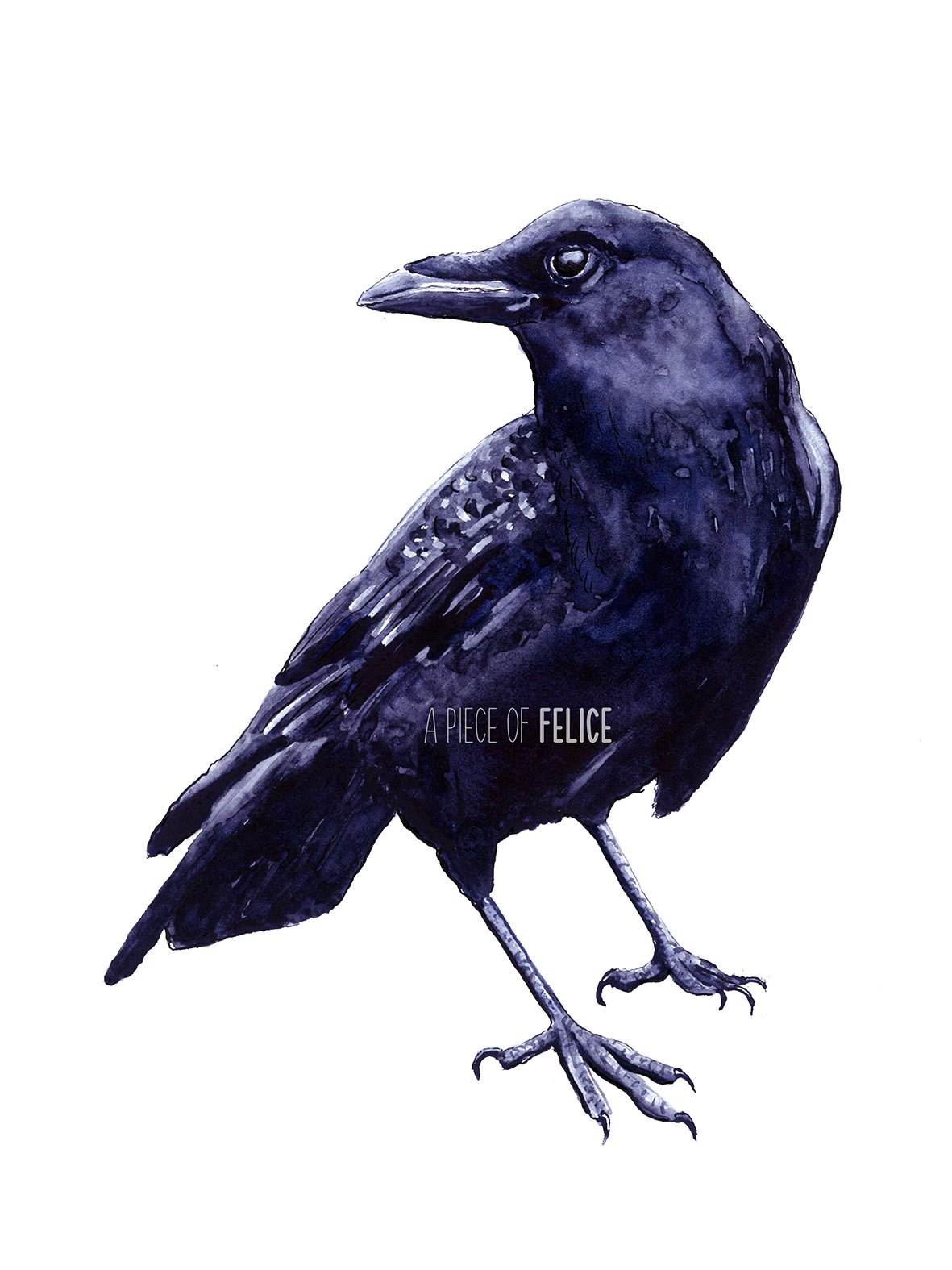 1181x1575 Crow Watercolor Painting - Crow Watercolor