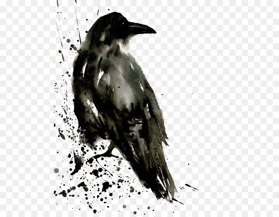 900x700 Common Raven Watercolor Painting Tattoo The Shining Isle - Crow Watercolor