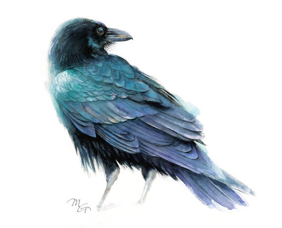 570x461 Raven Art Print - Crow Watercolor
