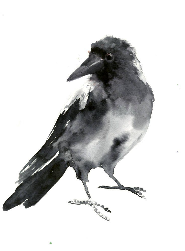 737x1000 Crow, Bird Artwork Original One Of A Kind Watercolor Painting - Crow Watercolor