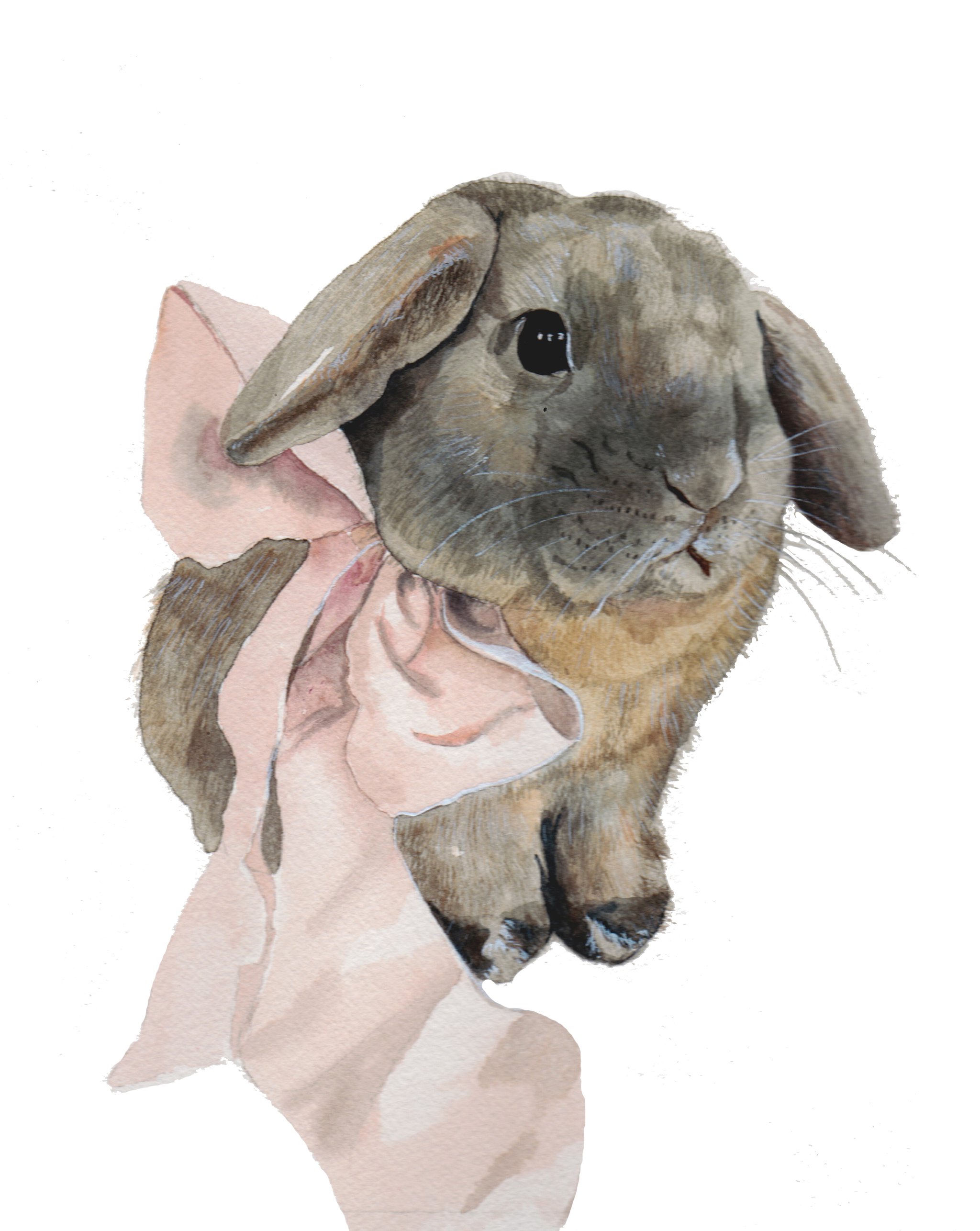 2048x2572 Custom Watercolor Pet Portrait - Custom Watercolor