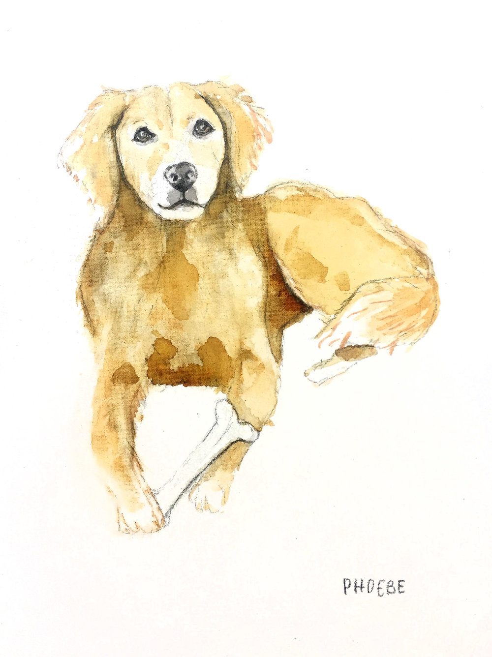 1000x1336 Dog Custom Watercolor Pet Portrait Ladyfolk Studio - Custom Watercolor