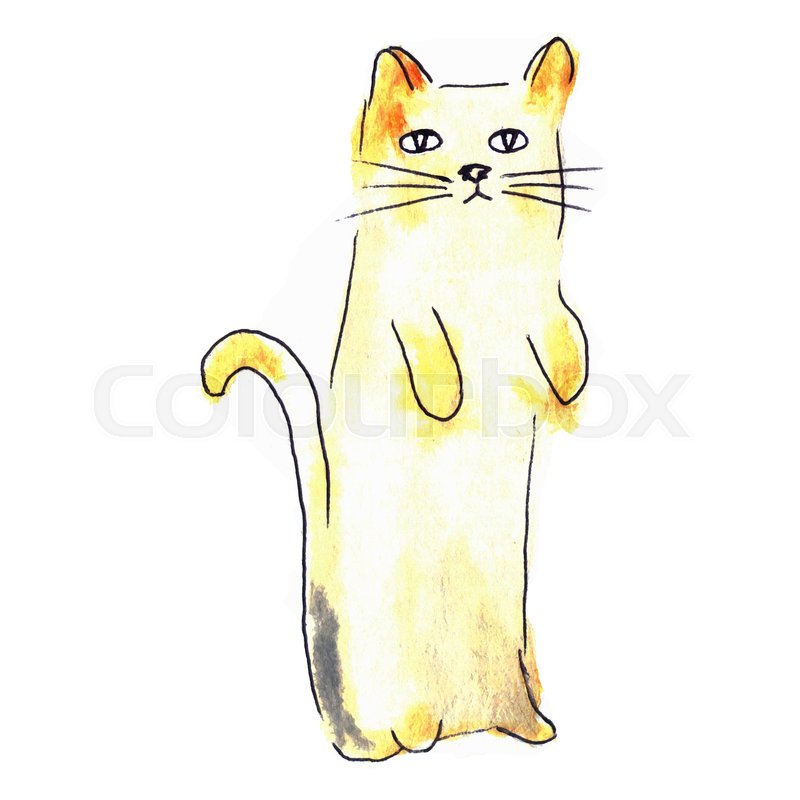 800x800 Cute Cat. Watercolor Kids Illustration With Domestic Animal - Cute Cat Watercolor
