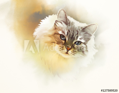 500x390 Cute Cat. Watercolor Portrait Of A Cat. Drawing Of A Cat With Blue - Cute Cat Watercolor