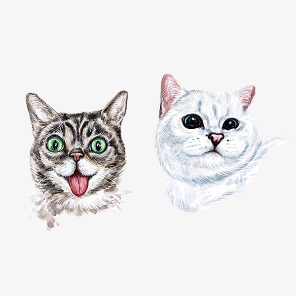 600x600 Hand Painted Watercolor Cute Cat Head Portrait, Watercolor Clipart - Cute Cat Watercolor