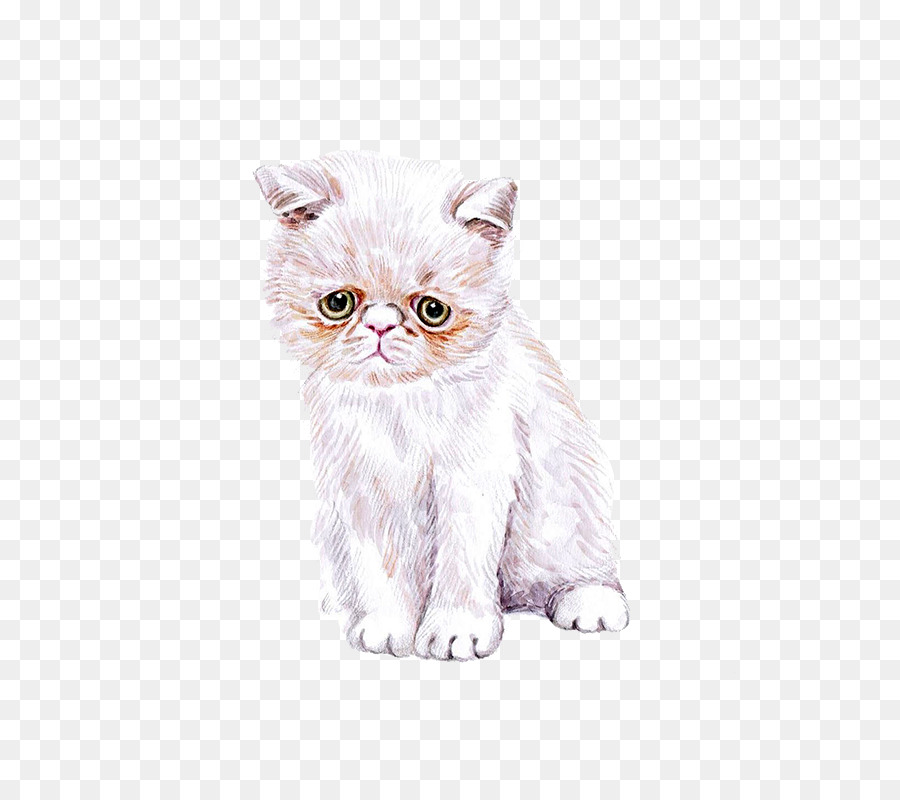 900x800 Cat Kitten Watercolor Painting Cuteness - Cute Cat Watercolor