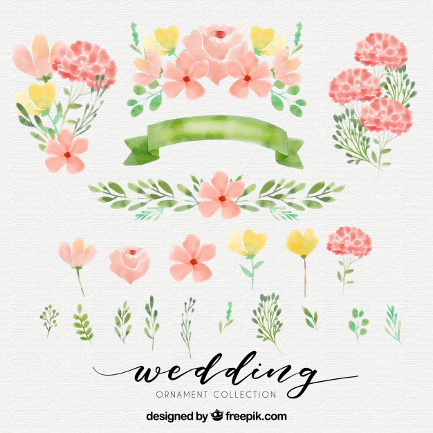 626x626 Cute Watercolor Elements Vector Free Download - Cute Watercolor