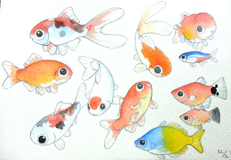 800x555 Watercolor Cute Fishies By Mondoart - Cute Watercolor