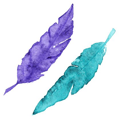 416x416 Watercolor Violet Turquoise Cyan Mint Bird Feather Set Isolated - Cyan Watercolor