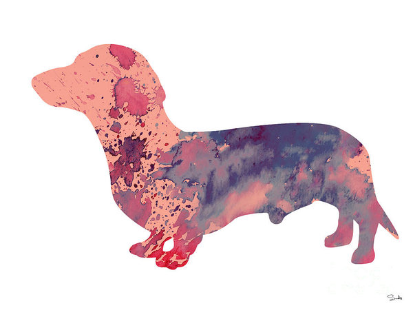 600x450 Dachshund 3 Art Print By Watercolor Girl - Dachshund Watercolor