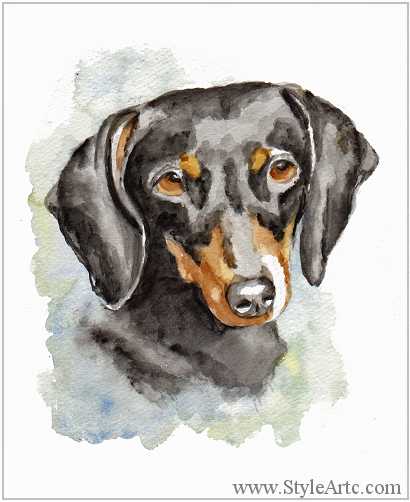 410x502 Dachshund Watercolor Pet Portraits - Dachshund Watercolor