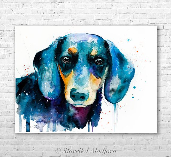 570x524 Dachshund Watercolor Painting Print By Slaveika Aladjova Etsy - Dachshund Watercolor